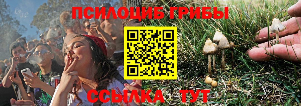 Псилоцибиновые грибы MAGIC MUSHROOMS  Псилоцибиновые грибы Magic Shrooms  Вход с VPN  Ессентуки 